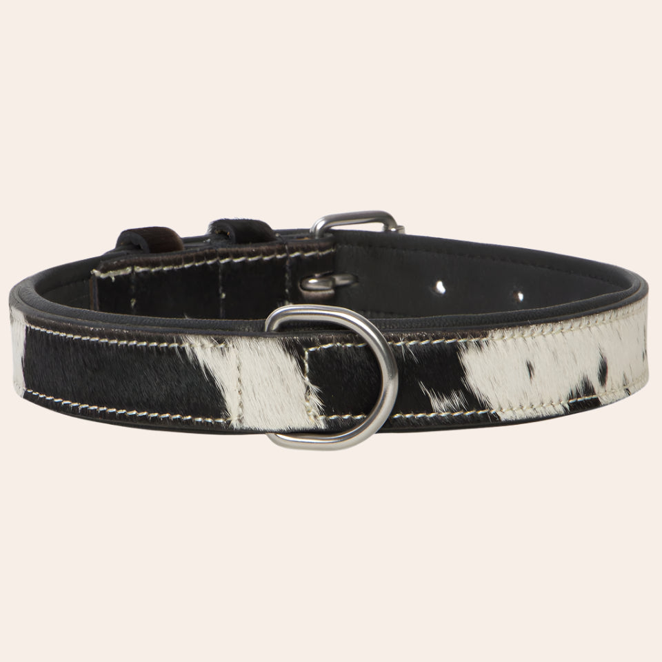 Cowhide Dog Collar