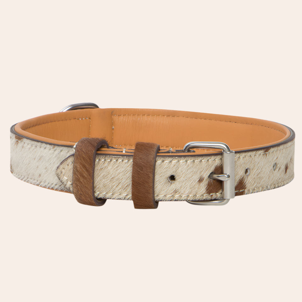 Cowhide Dog Collar