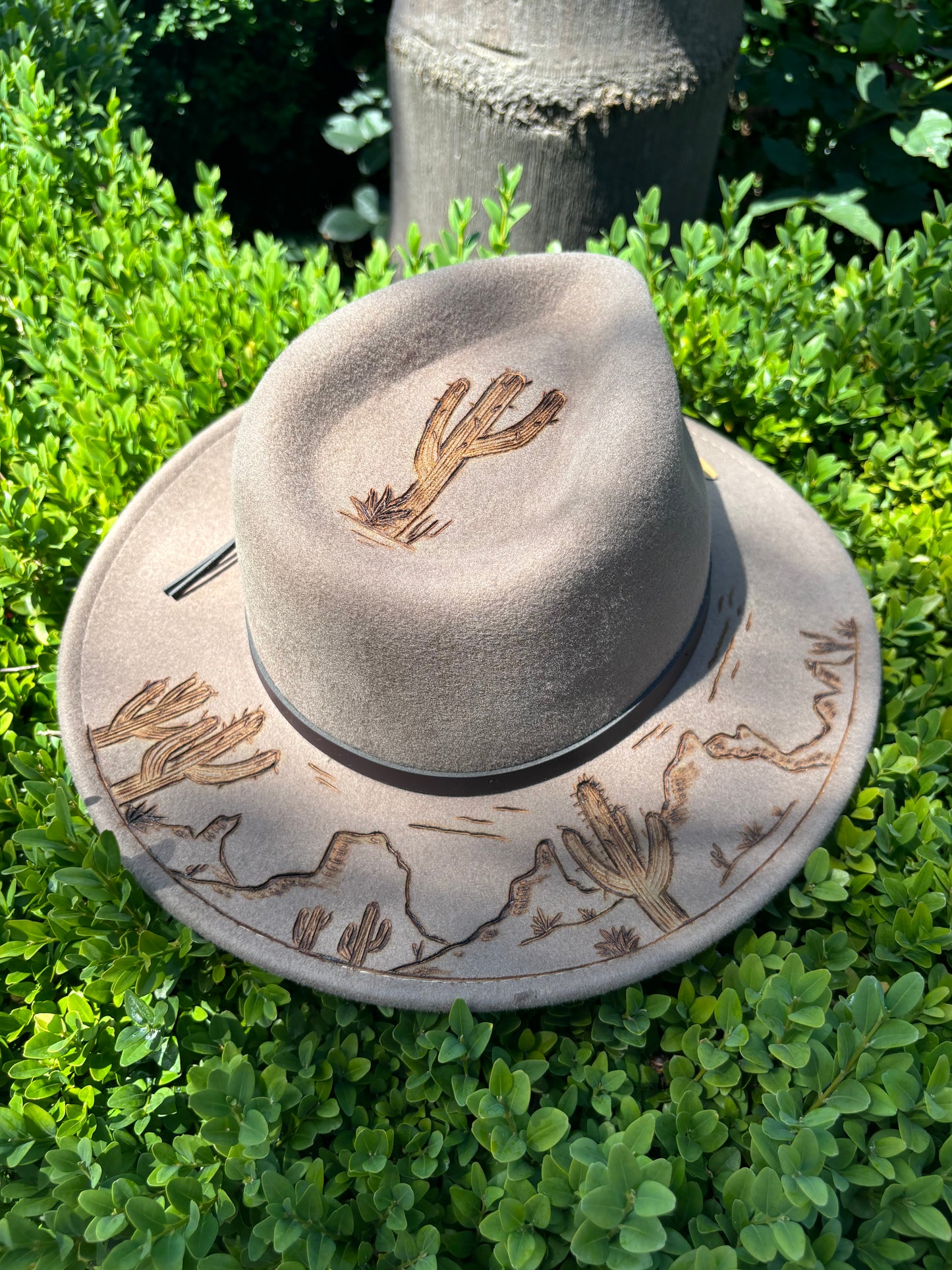 Snowy River Cacti Desert Burnt Hat | Putty