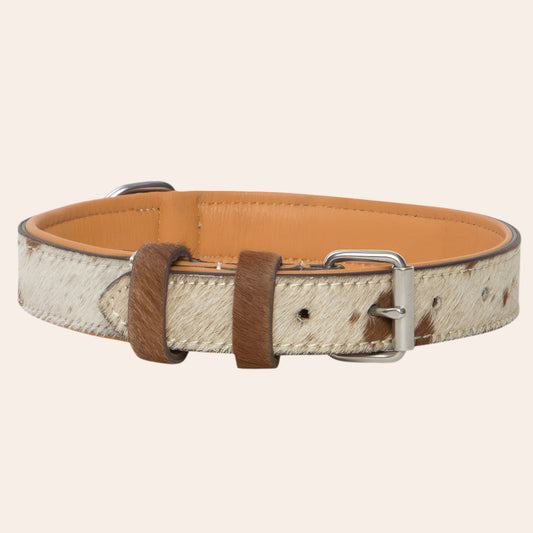 Cowhide Dog Collar